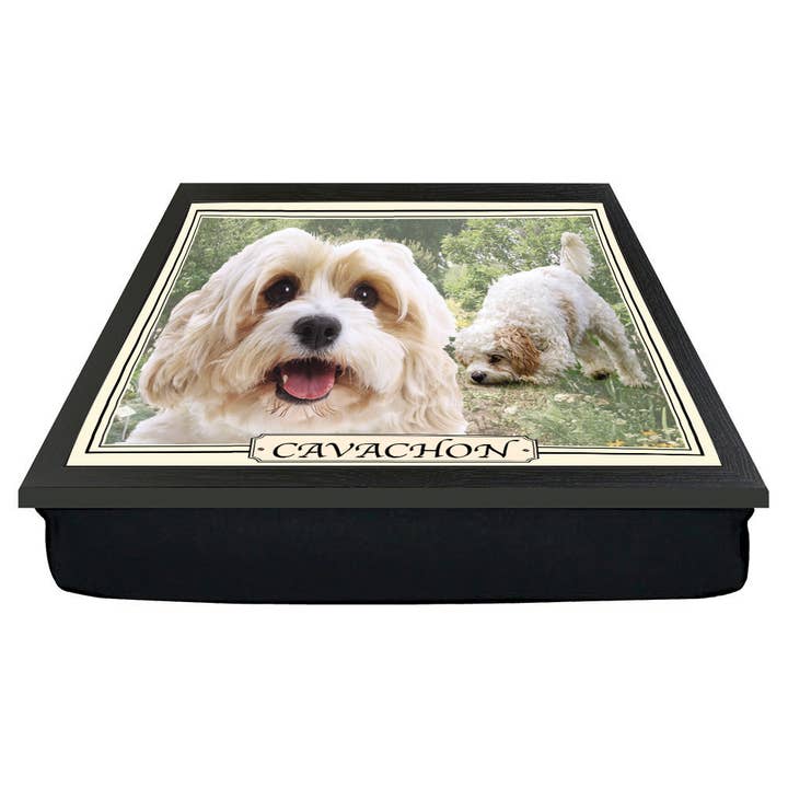 Cavachon Dog Cross Breed Lap Tray for wholesale by Personalised Gift Products LTD