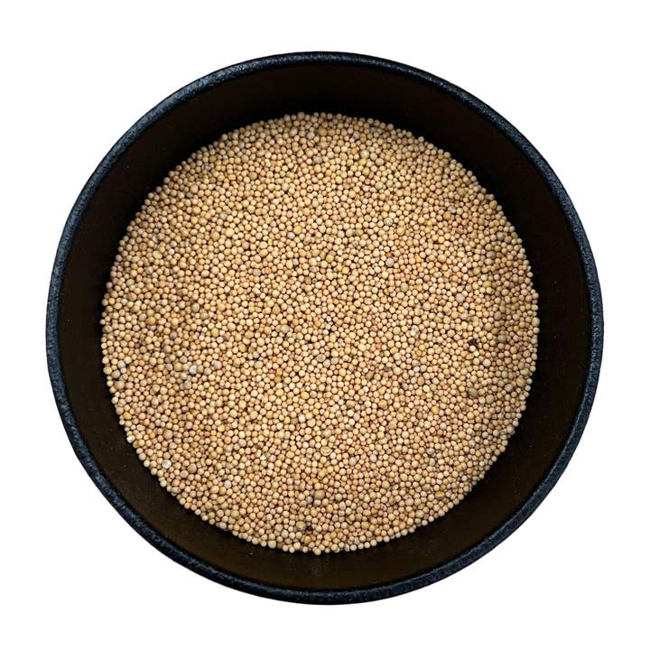 LA Herb - Wholesale Plant seeds - Yellow Mustard Seed Whole (Sinapis Alba)2