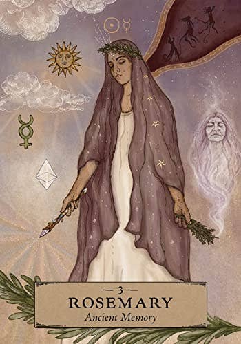 Cardshouse - Wholesale Tarot Cards - Herbal Astrology Oracle Cards Hay House6