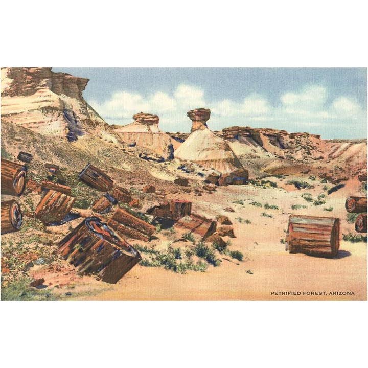 Found Image Press – wholesale Magnet – Magnet AZ-336 Förstenad skog