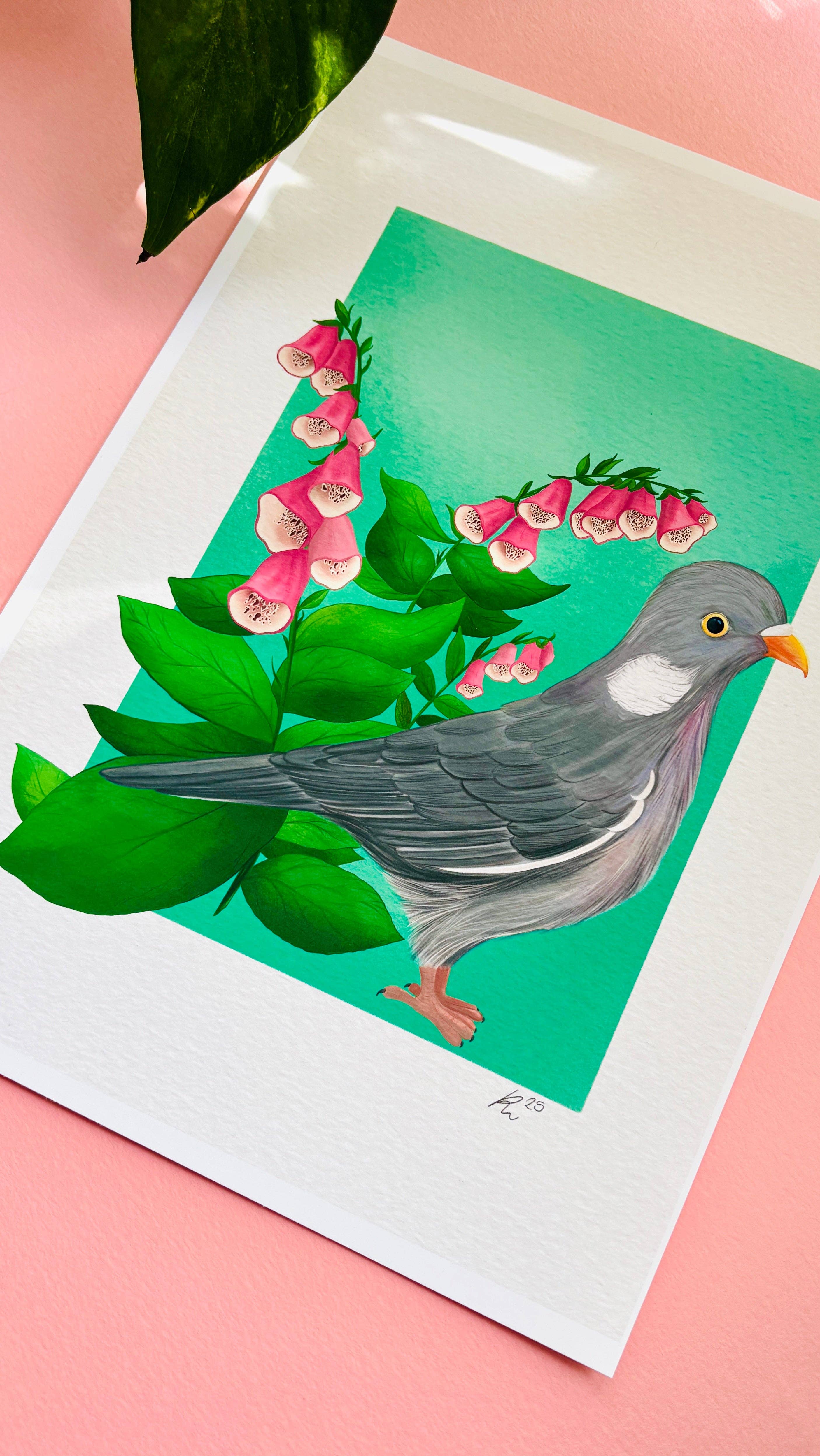 Pixiecraft - Wholesale Art Print - Wood Pigeon Art Print- British Wildlife Illustration3