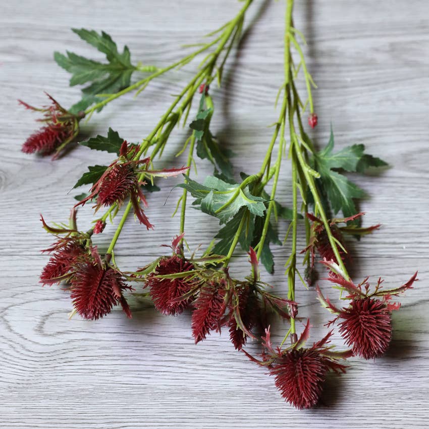 Angel Isabella - Wholesale Artificial Flowers - 26" Artificial Thistle Eryngium Sea Holly-10Flowers 7