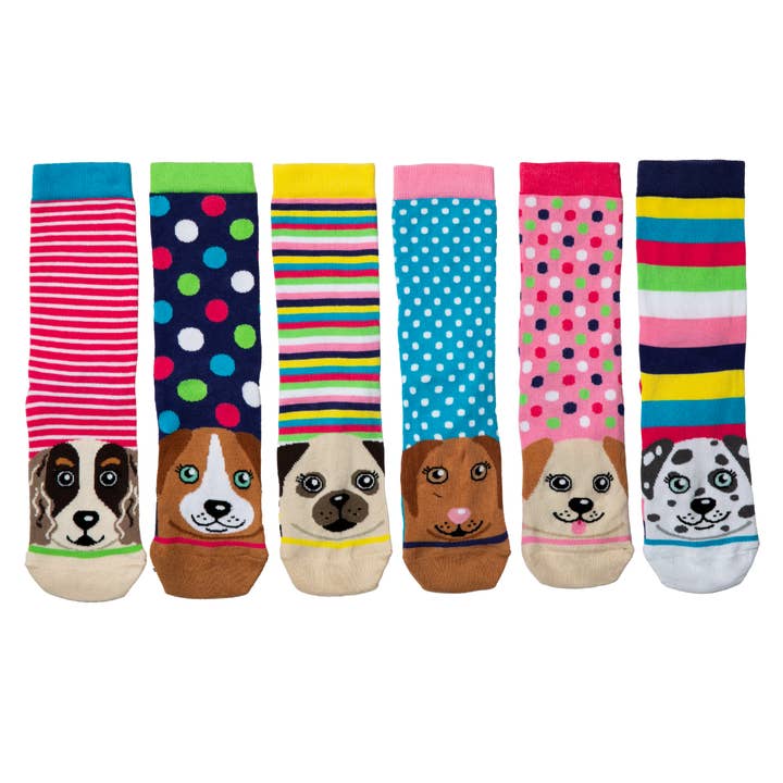 Sock Academy - Wholesale Socks - Unisex - PAWSOME | 6 Odd Socks Gift Box - United Oddsocks