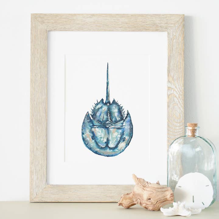 Salty Horseshoe Crab 8x10 eller 5x7 in. Kunsttryk for engroshandel hos ALR Designs