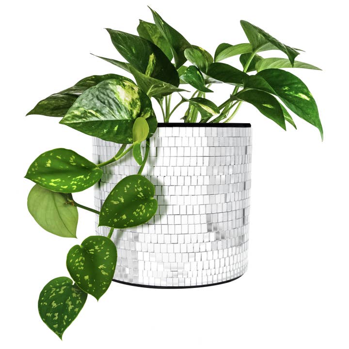 NPW - Wholesale Plant Pot - Disco Tabletop Planter
