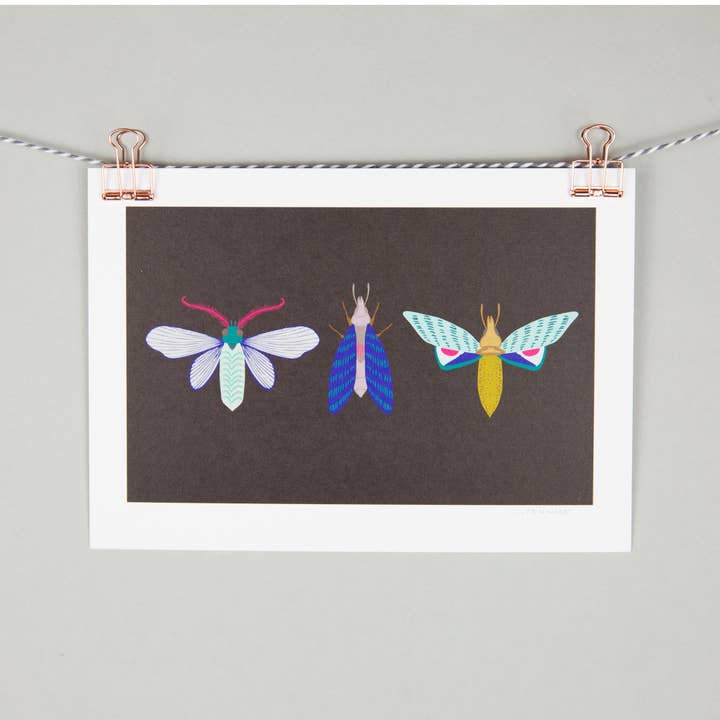 A5 art print - trio of moths for wholesale by Maggie Magoo Designs