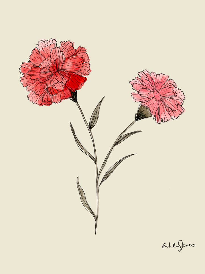 Carnation Art Print for wholesale by Covered With Art