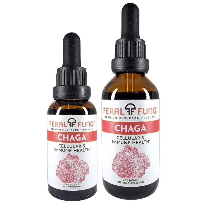 Feral Fungi - Wholesale Tincture - Chaga (Inonotus obliquus) Spagyric Tincture