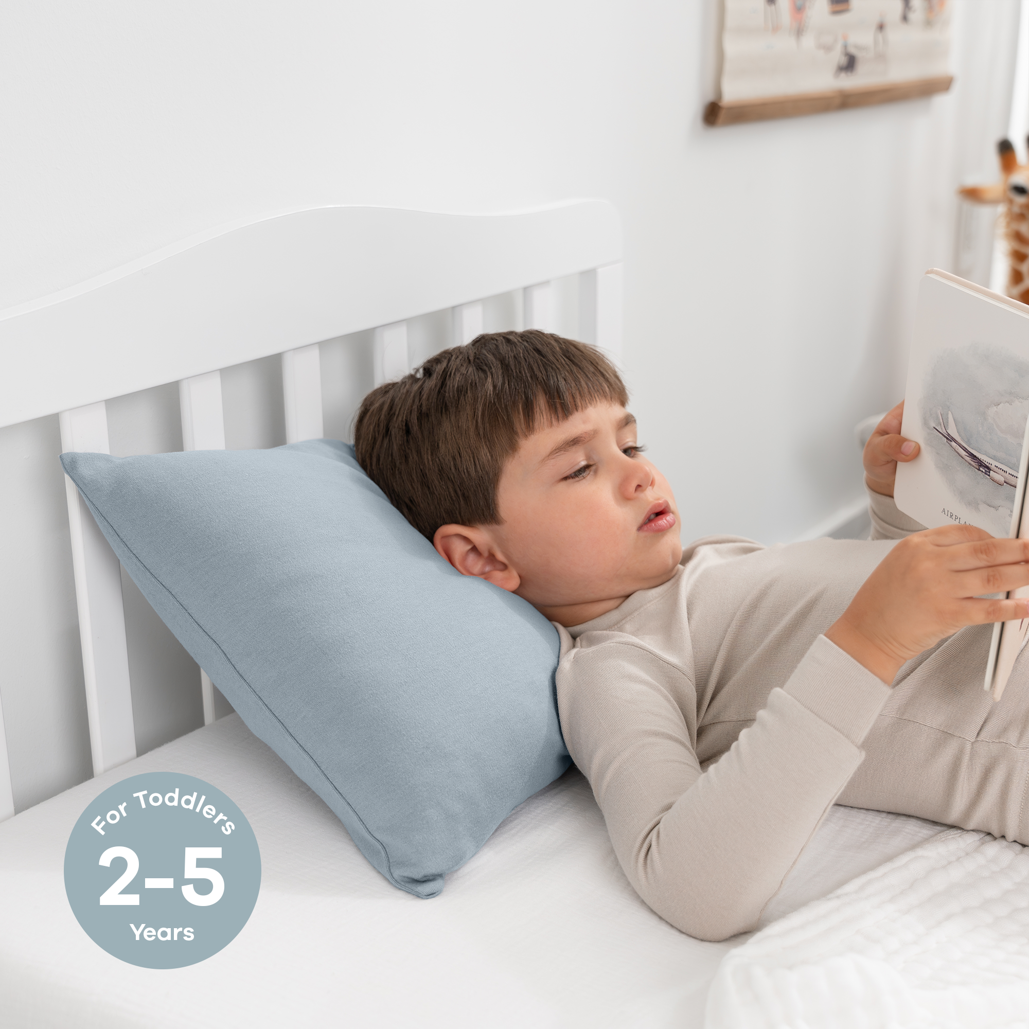 Comfy Cubs - Wholesale Pillow/Cushion - Kids & Baby - Toddler Pillow, Breathable Kids Travel Pillow by Comfy Cubs61