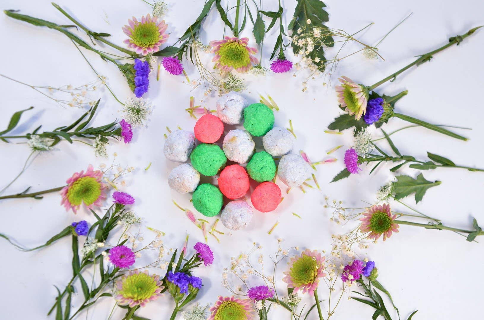 Almas And Co – wholesale Plant seeds – Wildflower Seed Bomb Box8