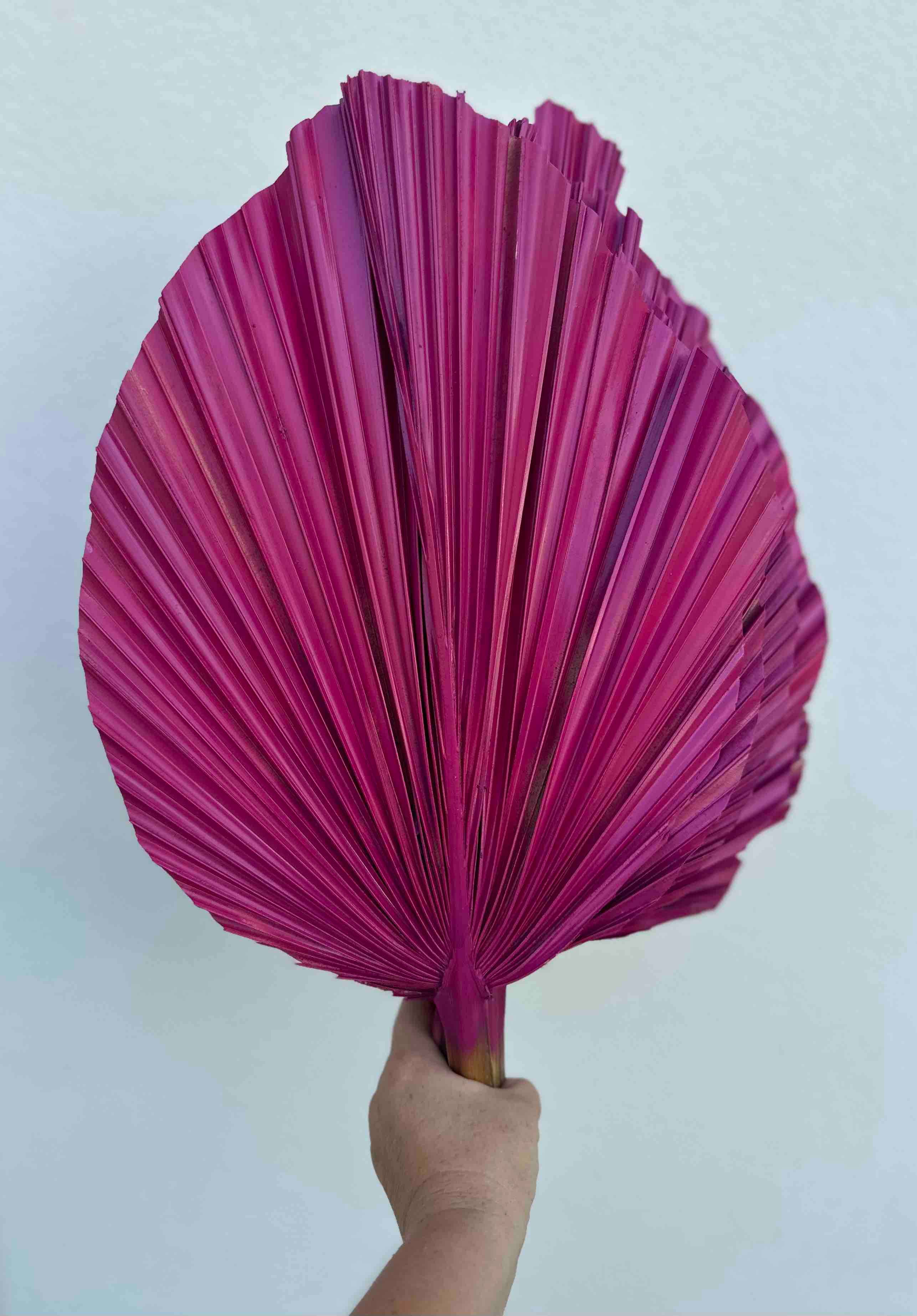 The Blooming Palm - Wholesale Retailer Sample - Home Decor - 14" PINK SunDried Painted Palm Leaf Decor, SAME DAY SHP  8