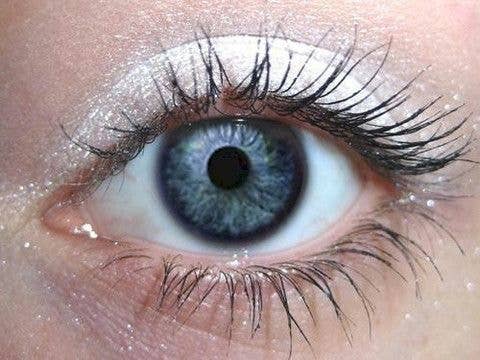 Orglamix – wholesale Eyeshadow – Marshmallow Eyeshadow | Satin White with Dual Matte Shimmer4