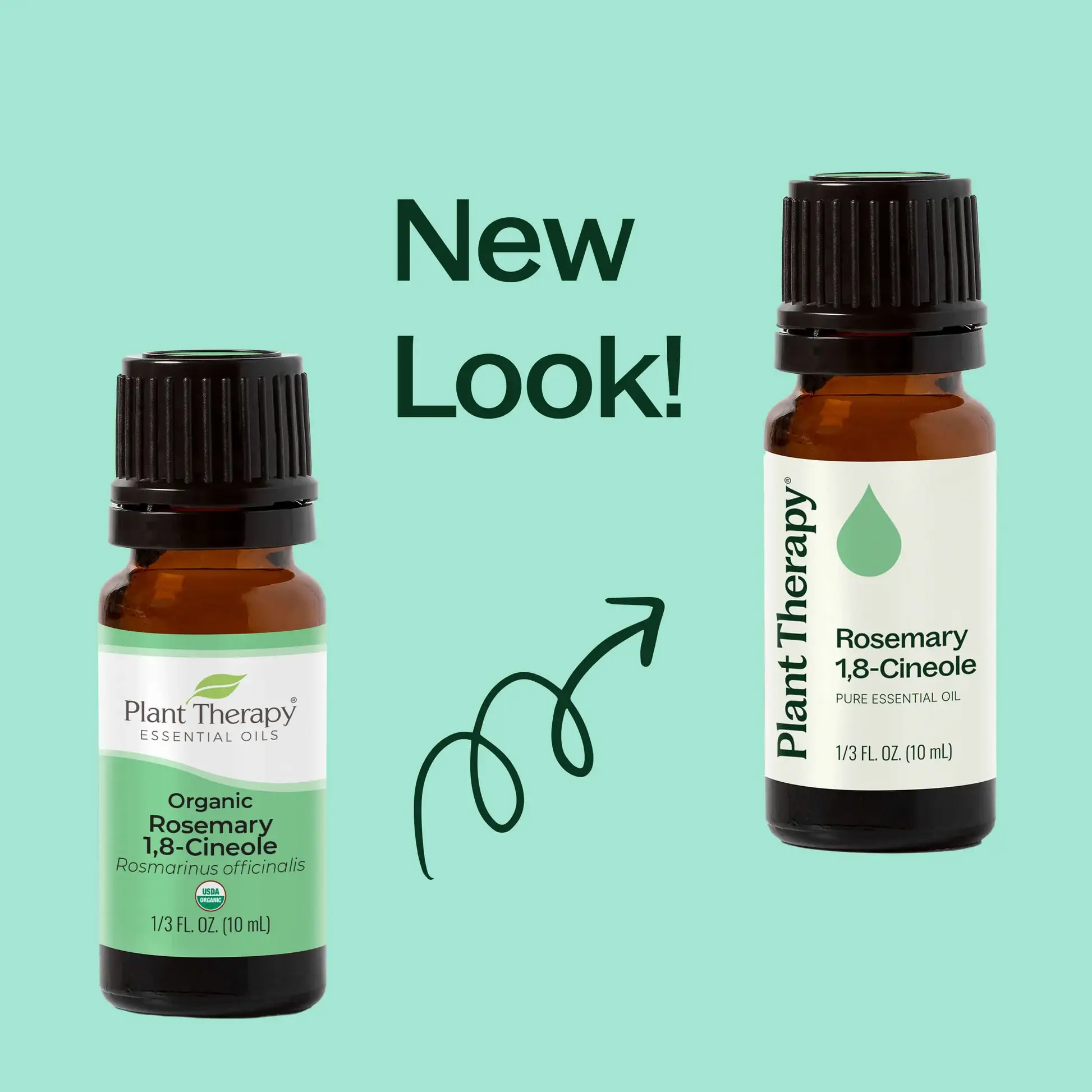 Plant Therapy - Wholesale Etherische olie - Biologische rozemarijn essentiële olie 1,8-cineool 10 ml2