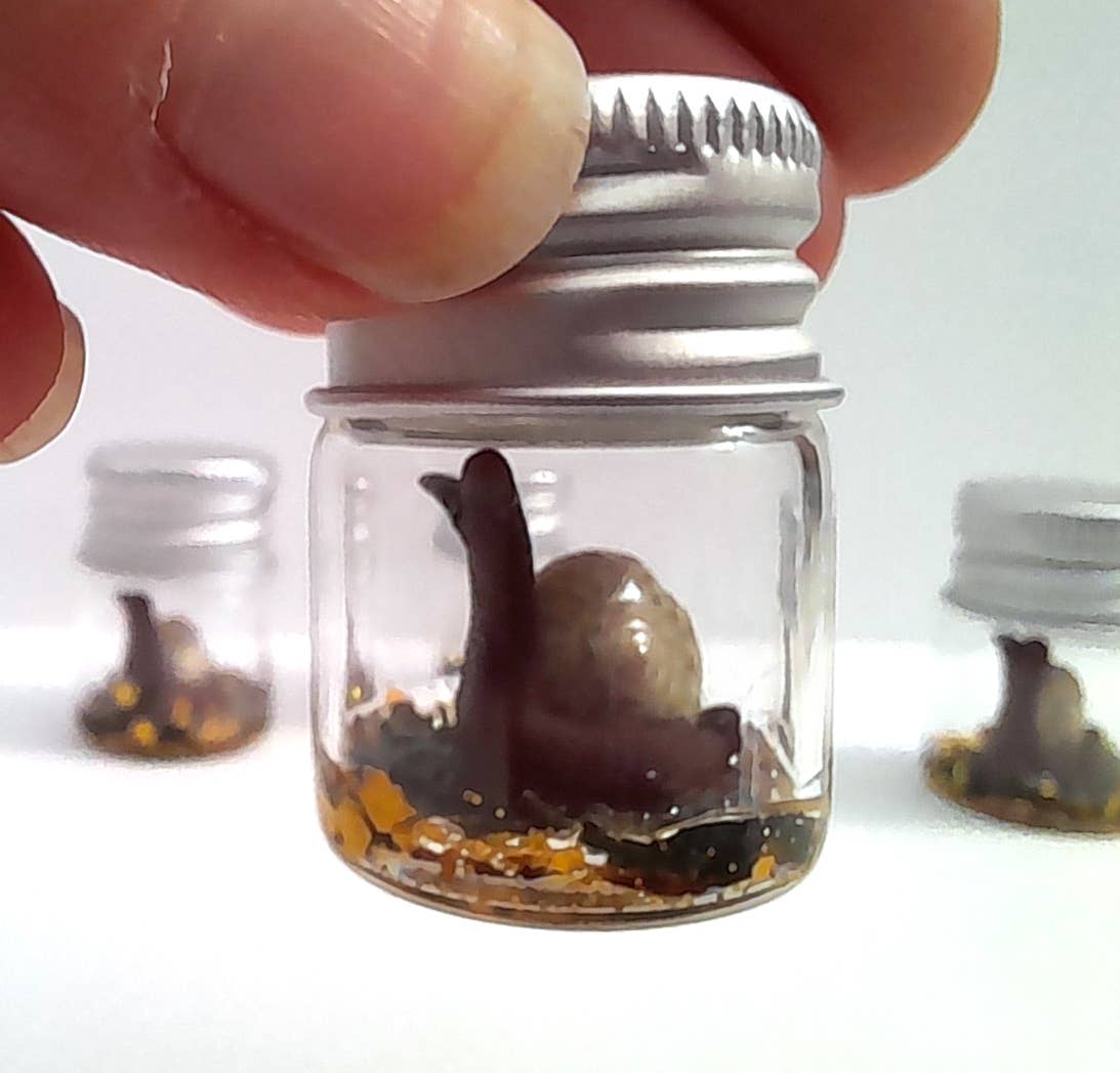 SUPERAWWWSOME - Wholesale Gag Gift/Novelty Gift - Snail Specimen Bottle, Dollhouse Miniature, nature gift jar9