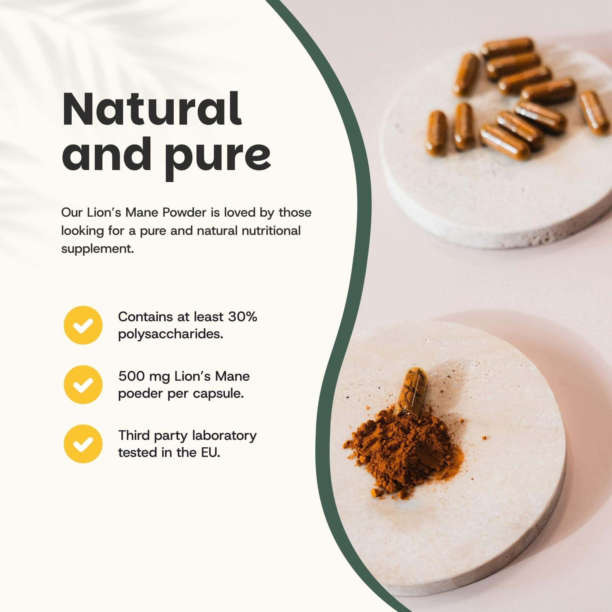 Cupplement b.v. - Wholesale Oral Supplement/Vitamin - Lion's Mane Capsules 500 mg Organic 60 Capsules1