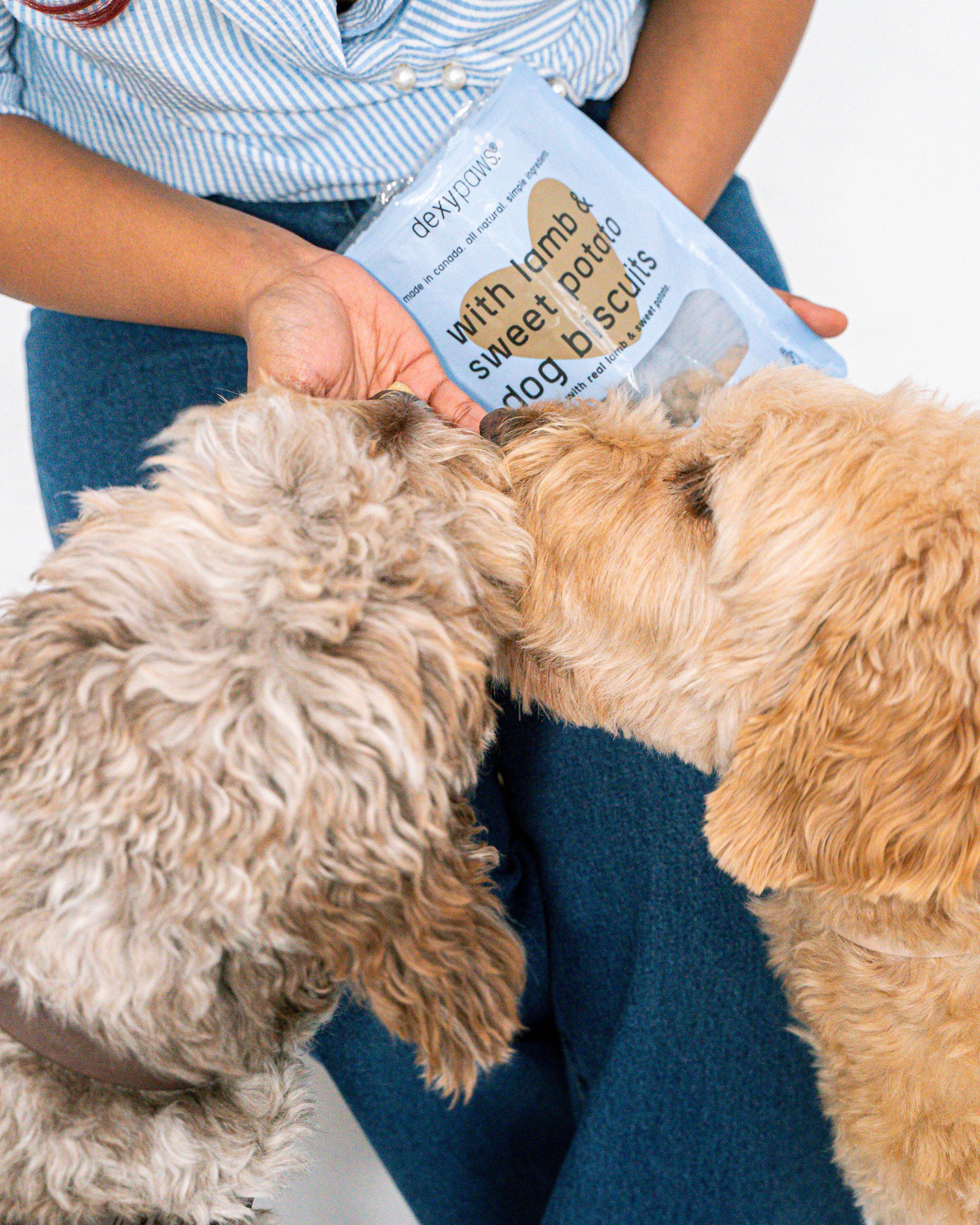 dexypaws – wholesale Godis - Hund – Hundgodis med lamm och sötpotatis4