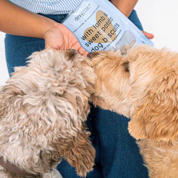 dexypaws - Wholesale Pet Treats - Dog - Lamb & Sweet Potato Dog Treats4
