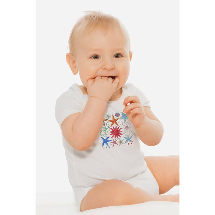 Starfish for wholesale by Mandala Baby