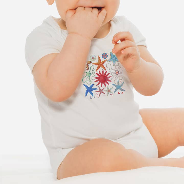 Starfish for wholesale by Mandala Baby