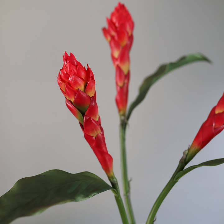 Prestige Botanicals - Wholesale Artificial flowers - Faux Tropical Ginger 32"3