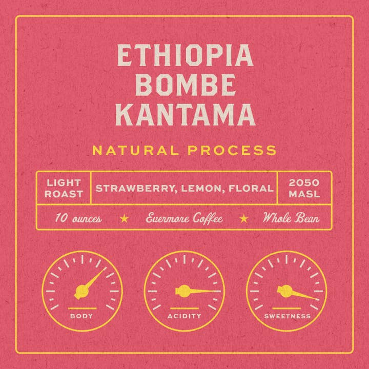 Organic Ethiopia Bombe Kontama 5lb Bulk Bag for wholesale by Evermore Coffee Roasters