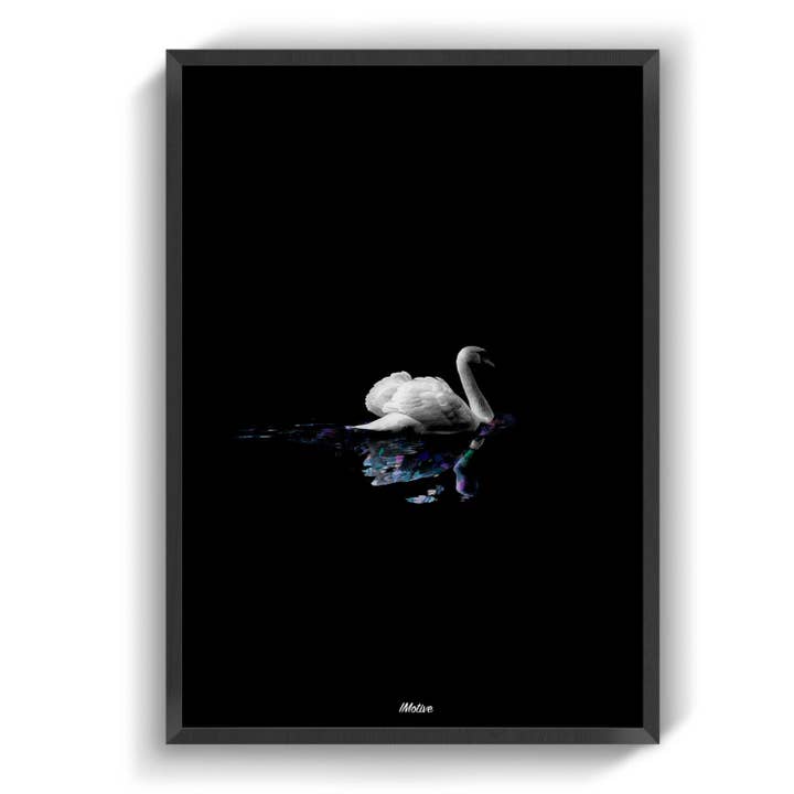 Ugly Duckling Vatten för wholesale av IMotive