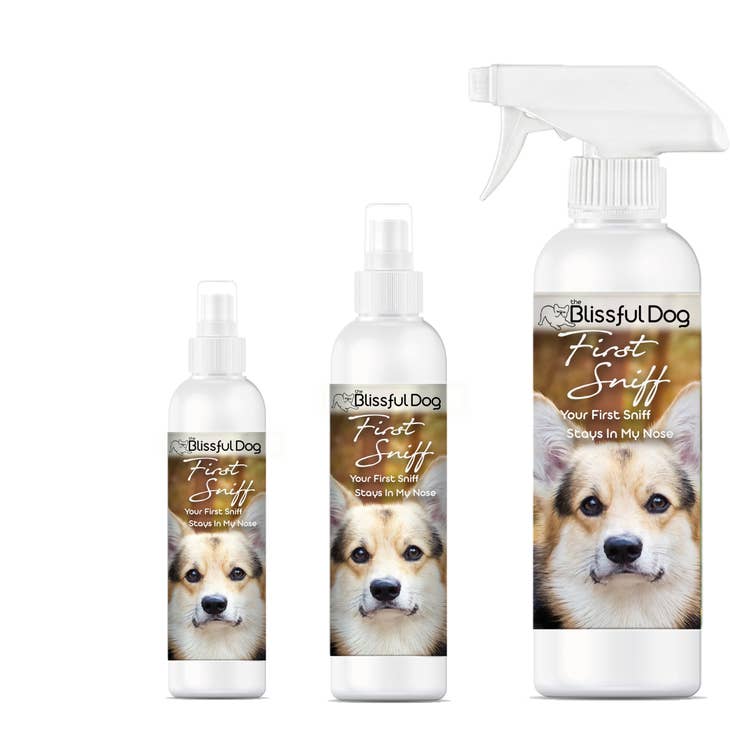 Dog 2025 perfume spray