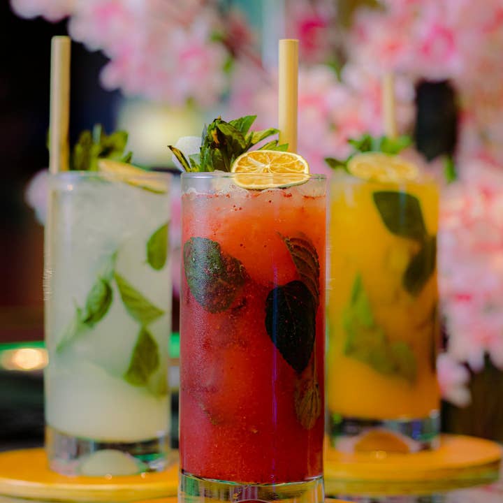 PRESERVED PEEL - Wholesale Dried/Dehydrated Fruit - Dehydrated Lime Slices – BULK SIZE | 270± Slices | DRIED FRUITS for Cocktail Garnish & More2