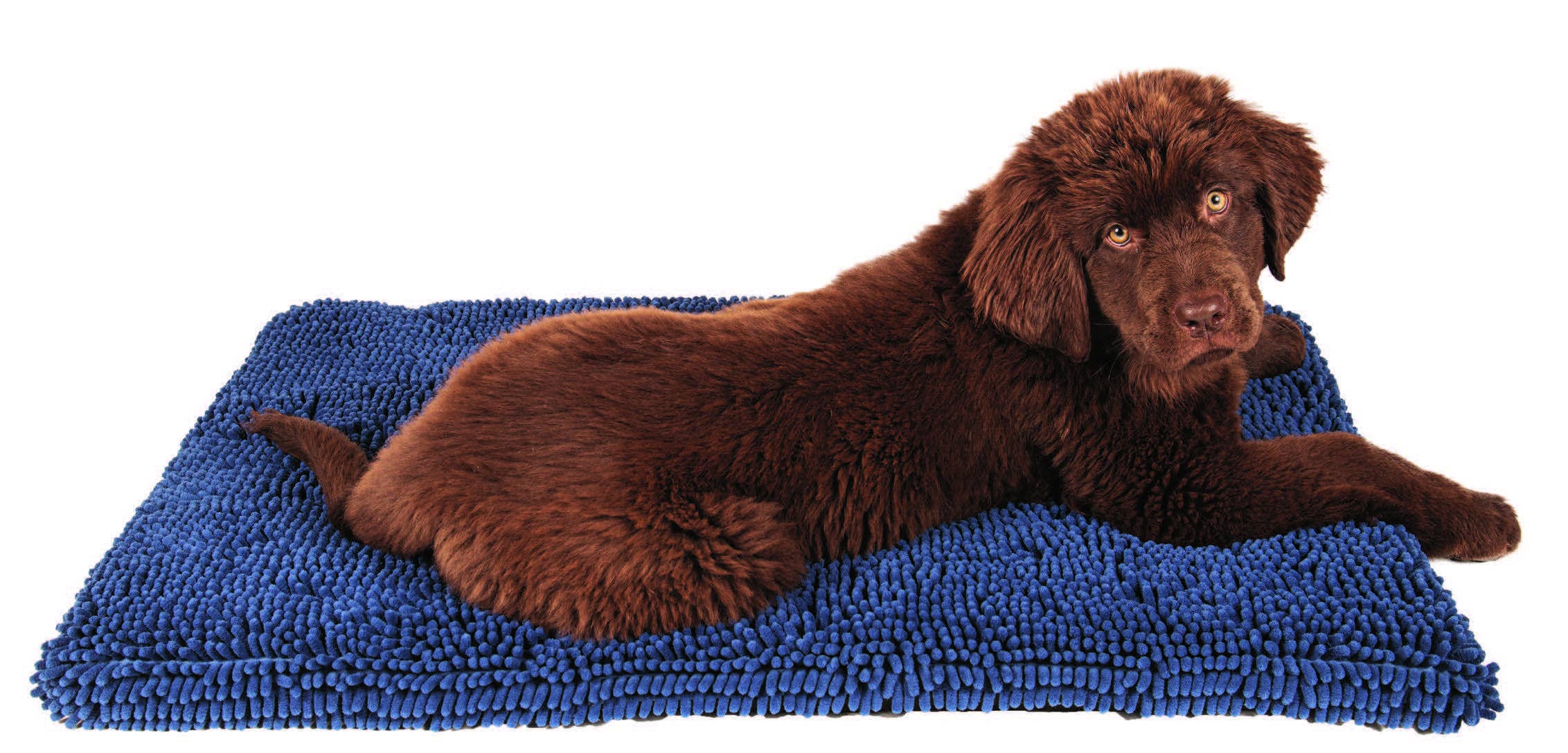 Dog Gone Smart - Wholesale Pet Mat - Dog - Dirty Dog Cushion Pad4