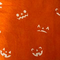All Things Redefined – wholesale Cleaning cloth – Reusable Non-Paper Towels for Halloween!9