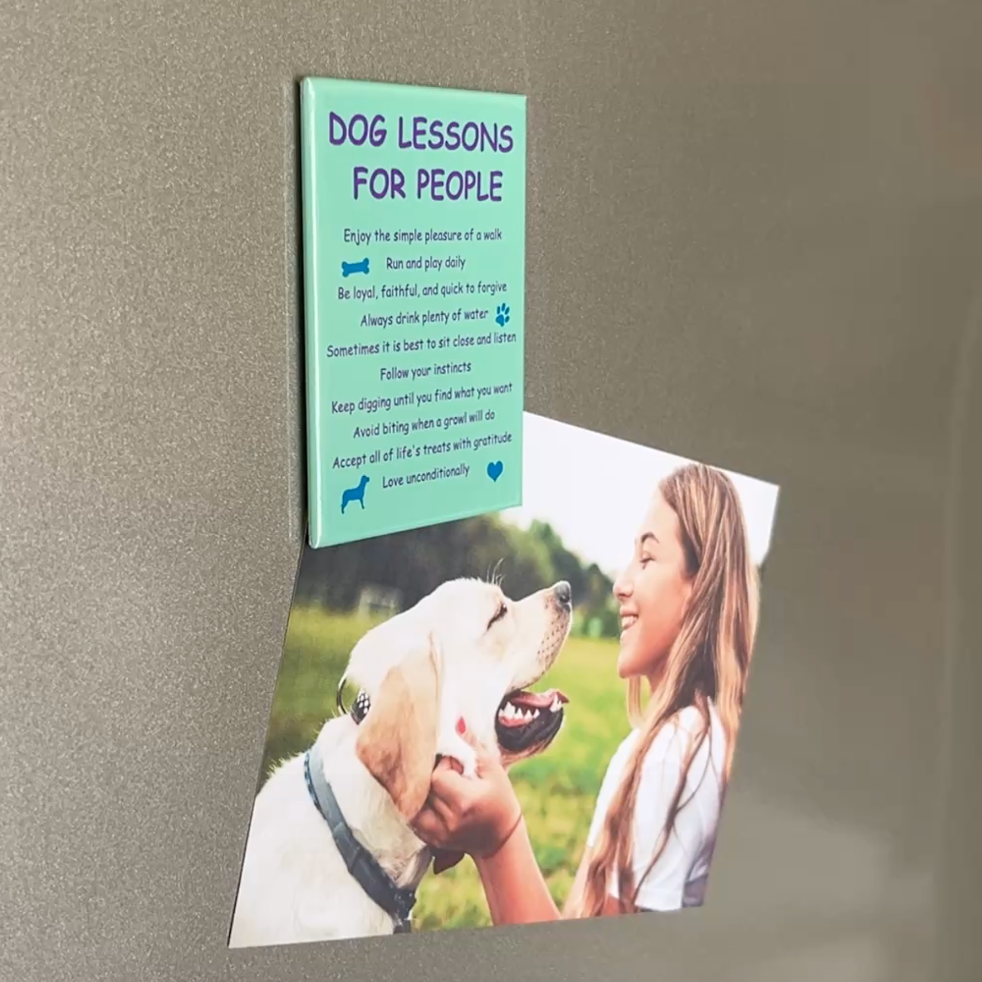 Dog Speak - Wholesale Magnet - Rectangle Magnet - Dog Lessons For People1