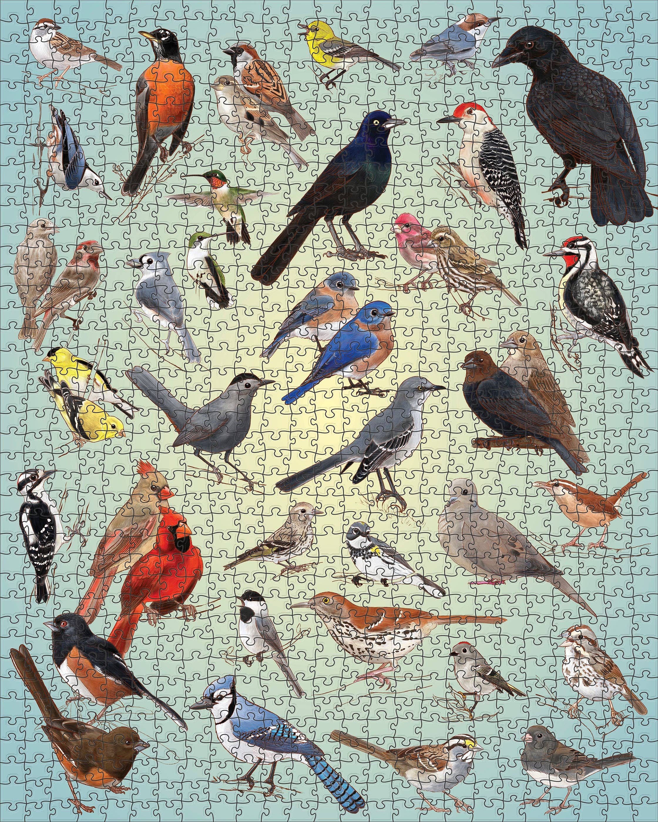 Pomegranate - Wholesale Puzzle - Adult - Casey Girard: Backyard Birds 1000-Piece Jigsaw Puzzle1