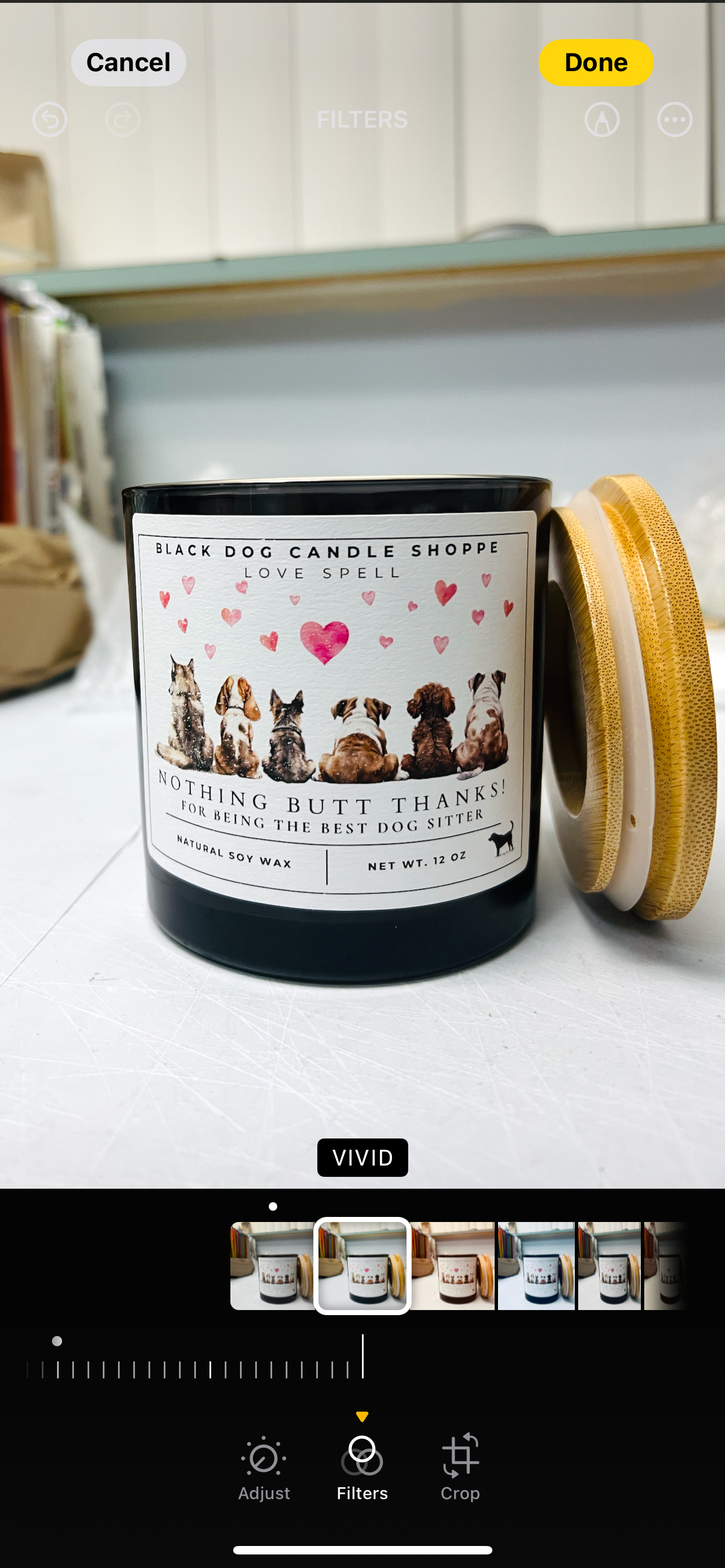 The Black Dog Candle Shoppe - Vendita all'ingrosso Candela in vasetto - Nient'altro che Grazie 2 - Pet Sitter - Tipo Incantesimo d'Amore2