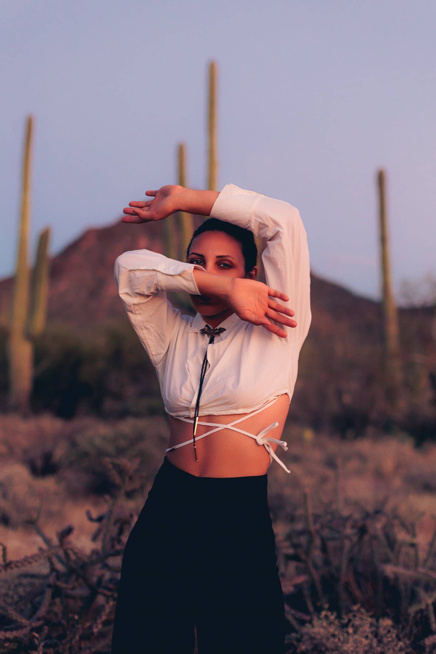 HELIOTROPE – wholesale Slipsar – Herr – Bat Bolo Tie - Blek fladdermus1