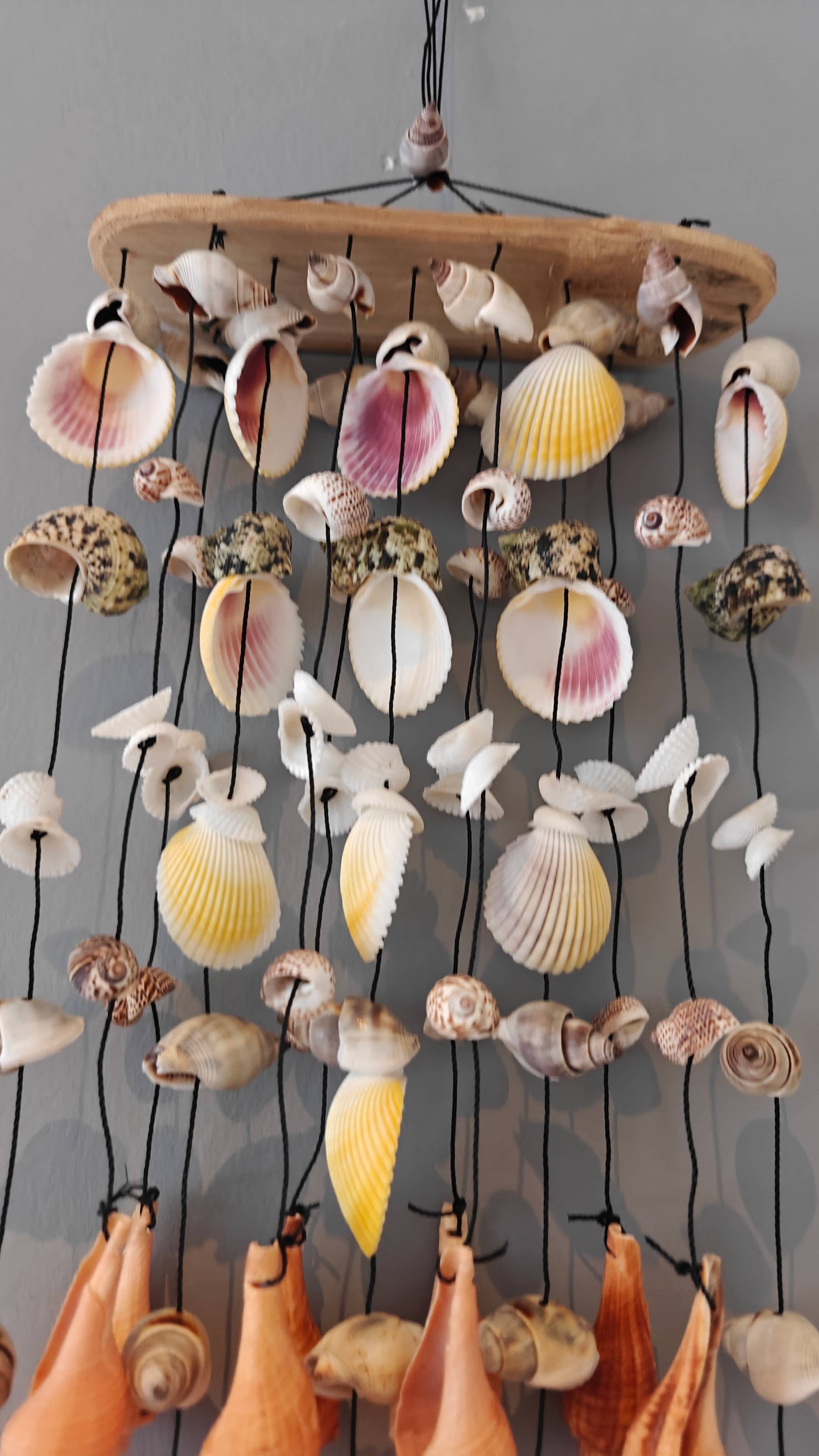 Product Import Holland – Engroshandel Vindharpe – Bambus vindspil med skaller - tropisk kystdekoration2