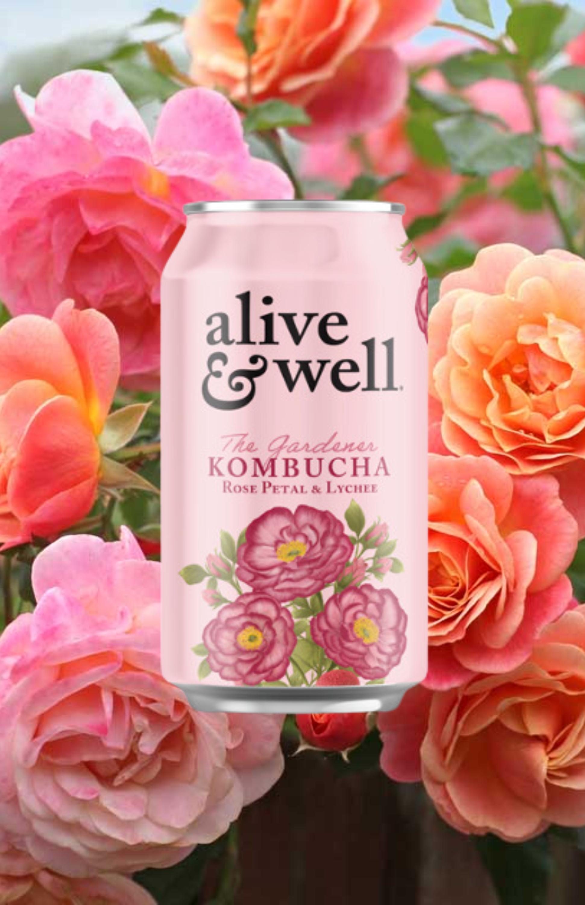 Alive & Well Kombucha - Wholesale Kombucha - Rose Petal & Lychee Kombucha2