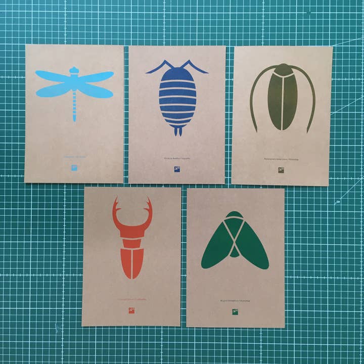 VrijFormaat - Wholesale Art Print - riso prints - set of 5 colorful Bugs / insect prints - A5