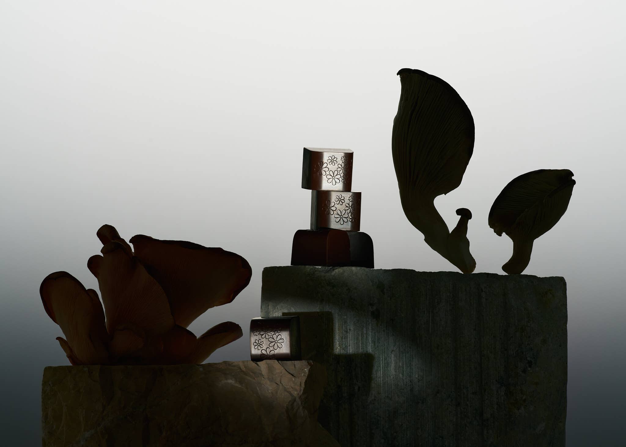 NOON WORLD - Wholesale Chocolate - NOON Chocolate Delights • In The Zone1