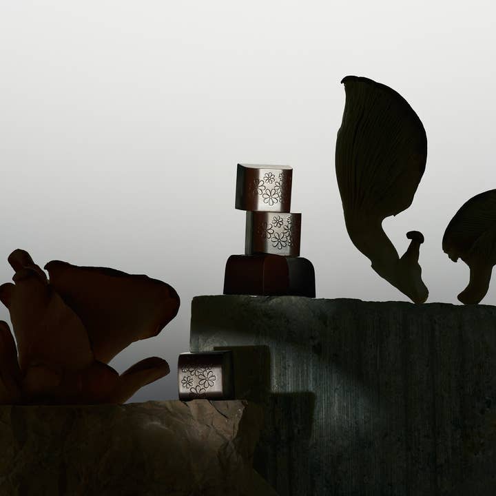 NOON WORLD - Wholesale Chocolate - NOON Chocolate Delights • In The Zone1