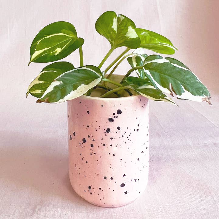Flowerpot S Pink Party for wholesale by All Things We Like
