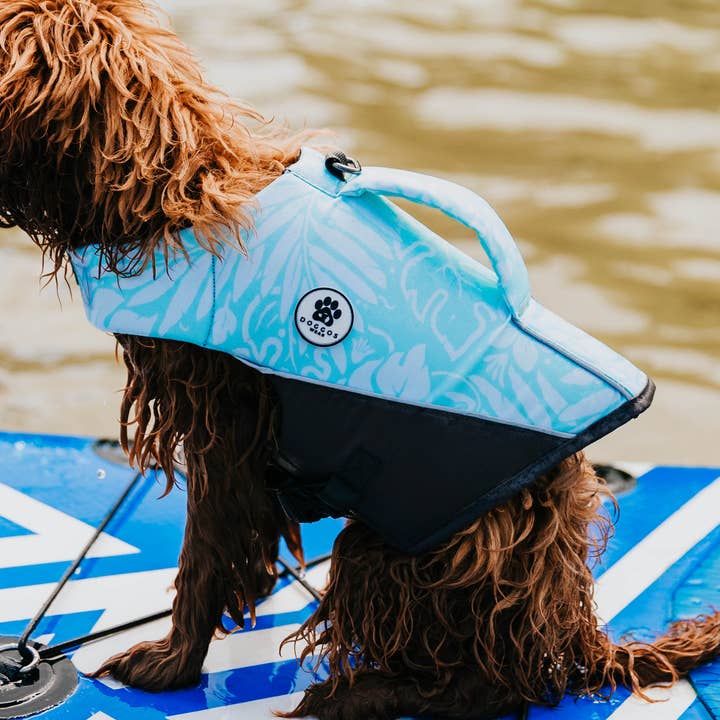Tropicana Doggo'Float for wholesale by Doggos Wear