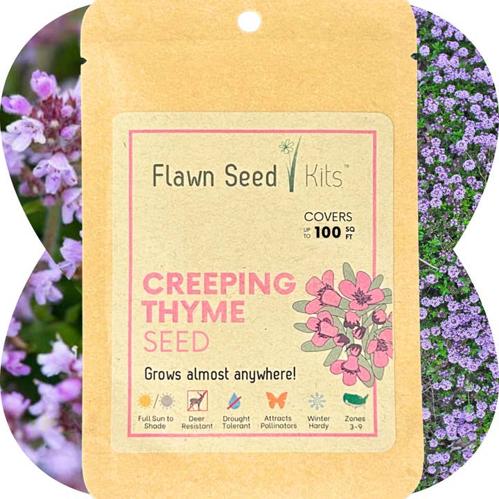 Creeping Thyme Seed Compostable Hanging Pouch for wholesale by Flawn Seed Kits