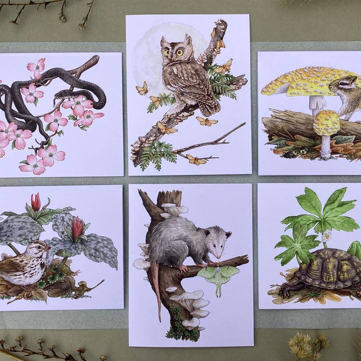 Ensemble de Cartes - 12 Créatures des Bois sur Cartes Recyclées Blanches pour la vente par Lucinda Rowe Art