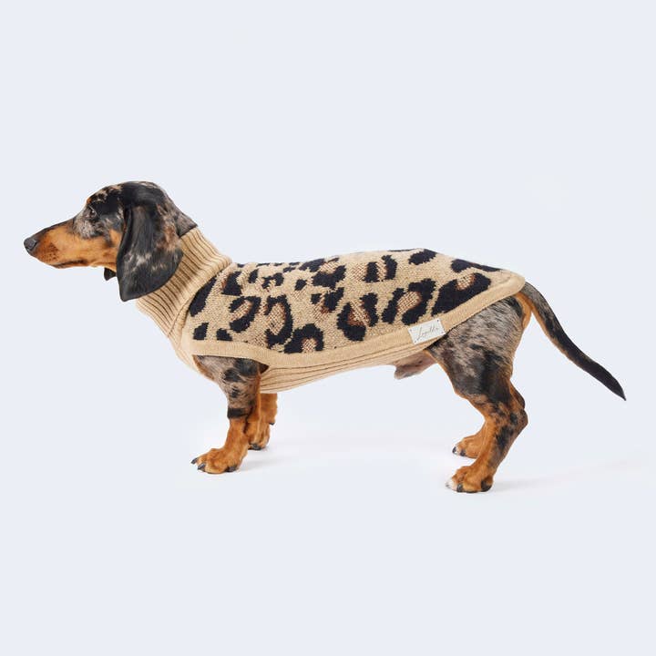 Leopold's Finest for dogs - Wholesale Pet Sweater - Dog - Knitted sweater with leopard pattern for dachshunds and small dogs9