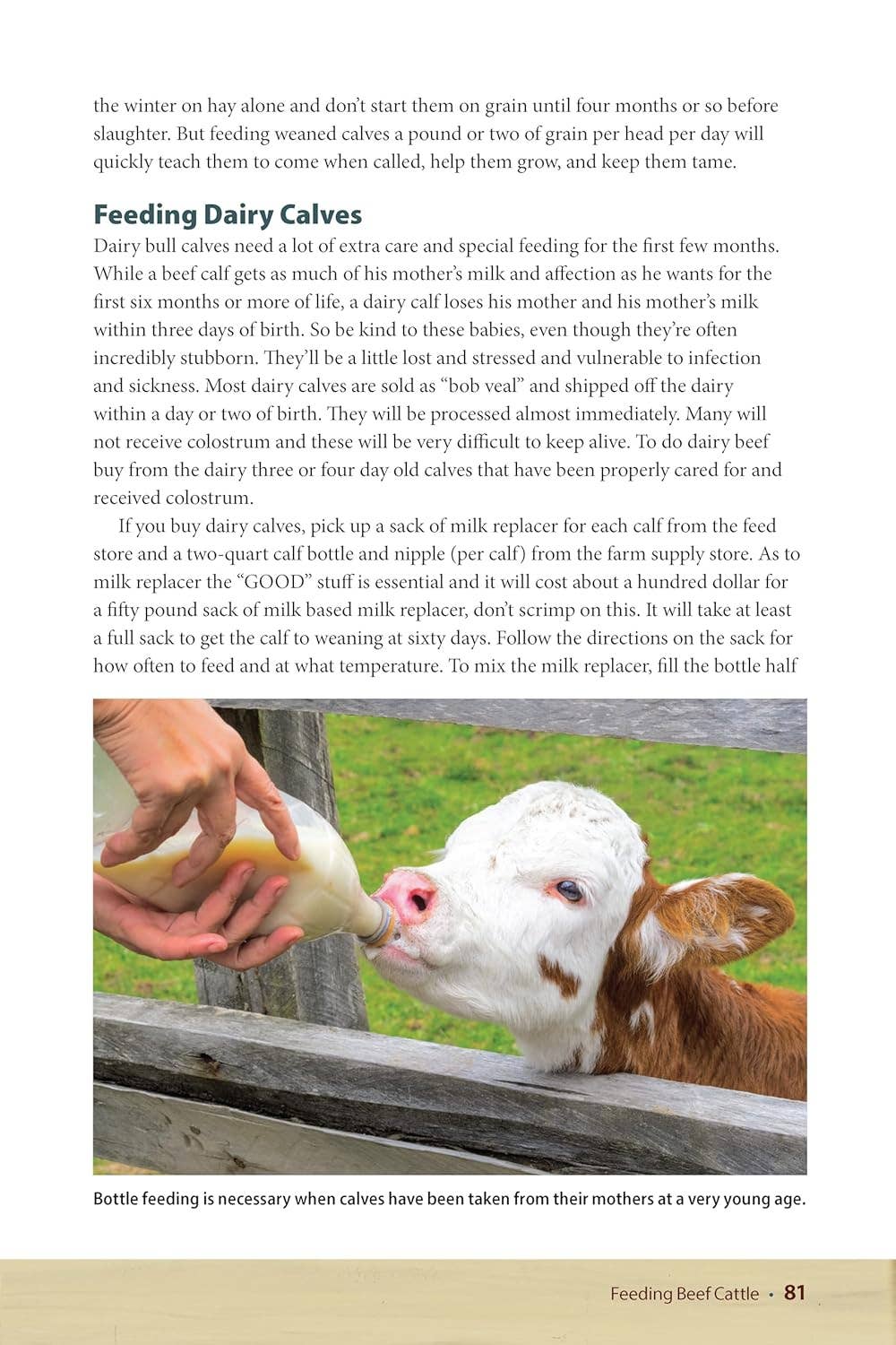 Fox Chapel Publishing - Vente Maison et jardin - Bovins de boucherie, 2e éd. - Guide pour maintenir un troupeau à petite échelle2