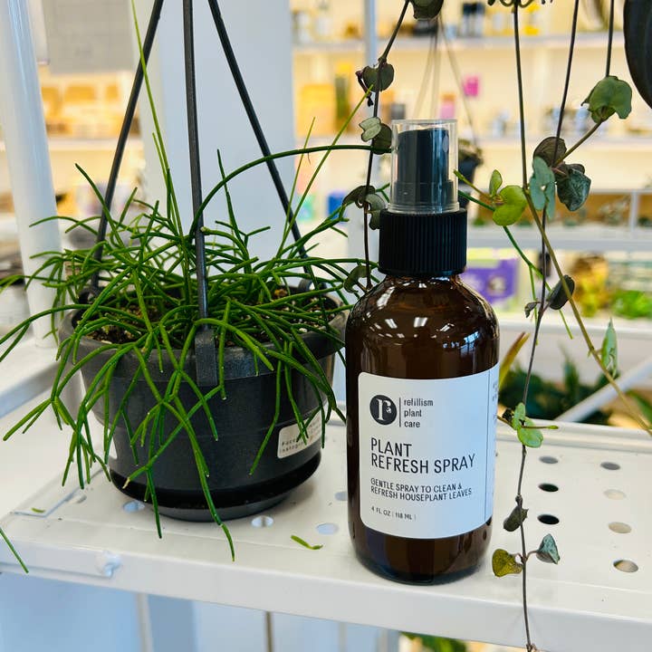 Plant Refresh Spray for wholesale by Refillism