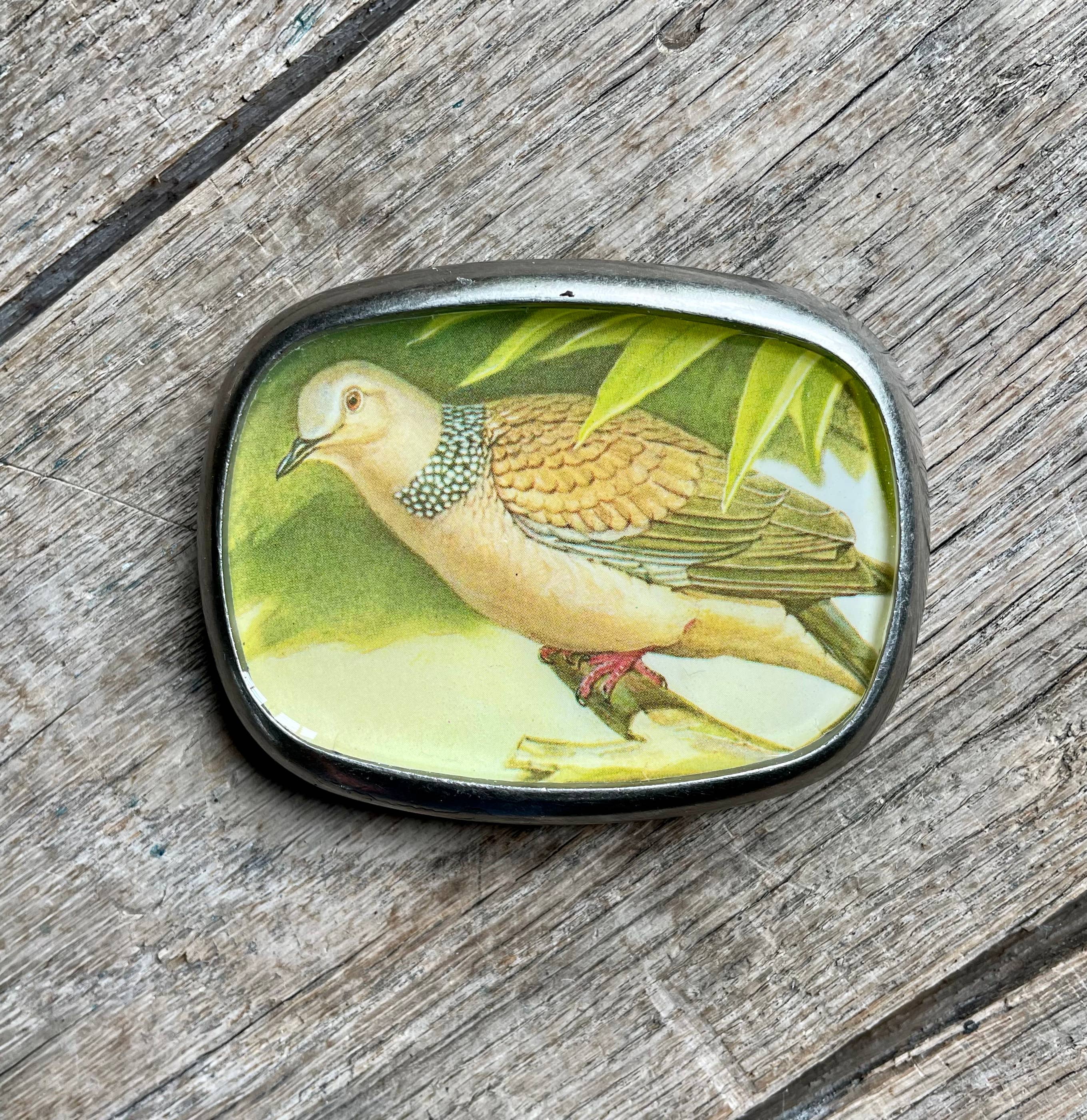 joeyfivecents – Engroshandel Bæltespænde – unisex – Bæltespænde, fugle - fuglekiggeri, fugleelsker, dyreliv, sangfugl6