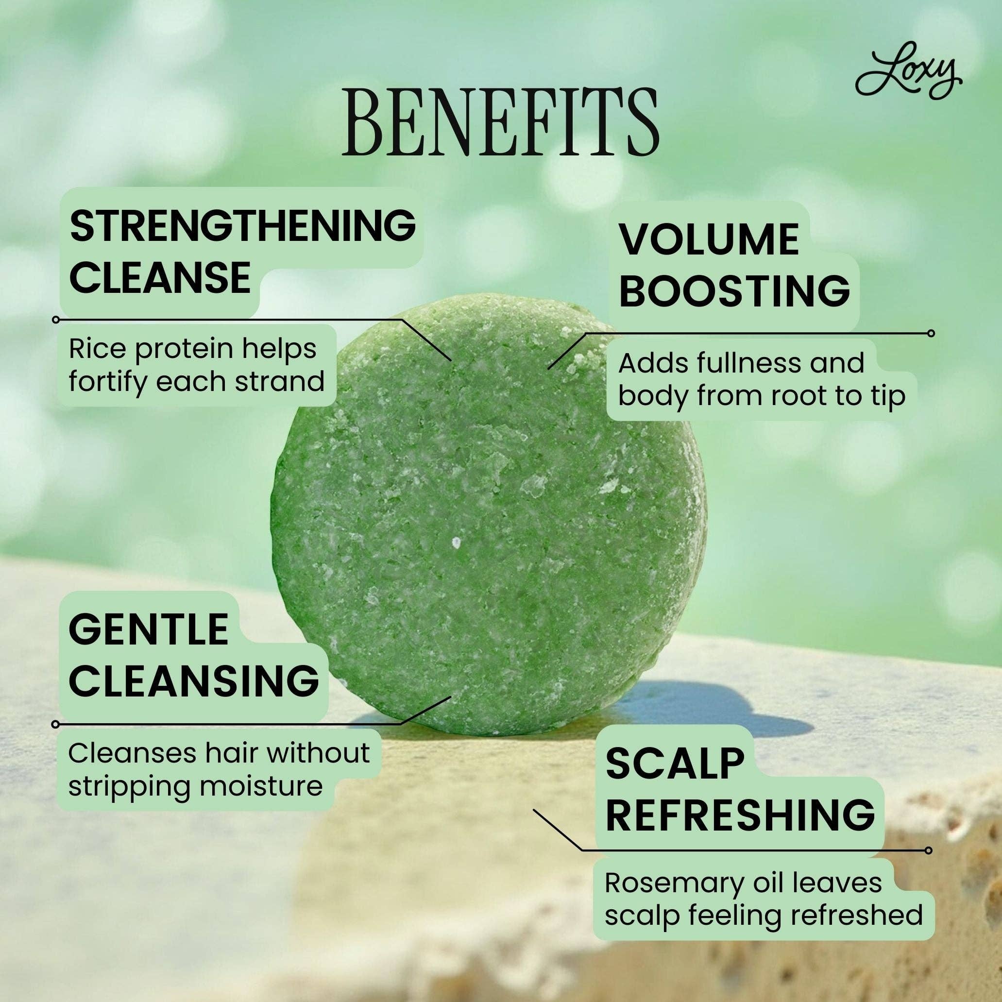 Loxy - Wholesale Shampoo Puck/Solid Shampoo - Fortify: Strengthening & Volumizing Shampoo Bar with Rosemary Oil & Rice Protein1
