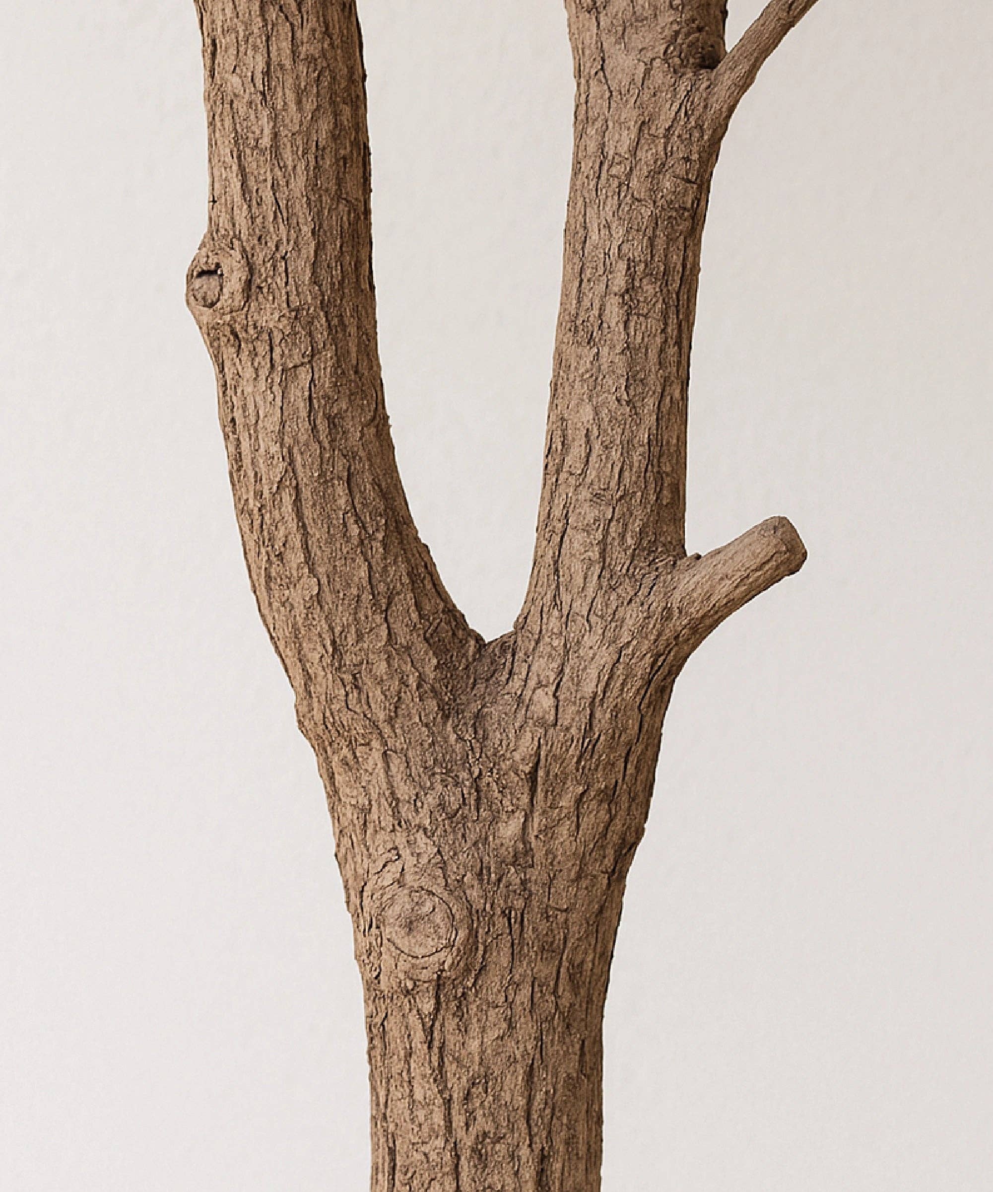 Maia Shop – Großhandel Kunstpflanzen – Künstlicher Olivenbaum Moon 210 cm3