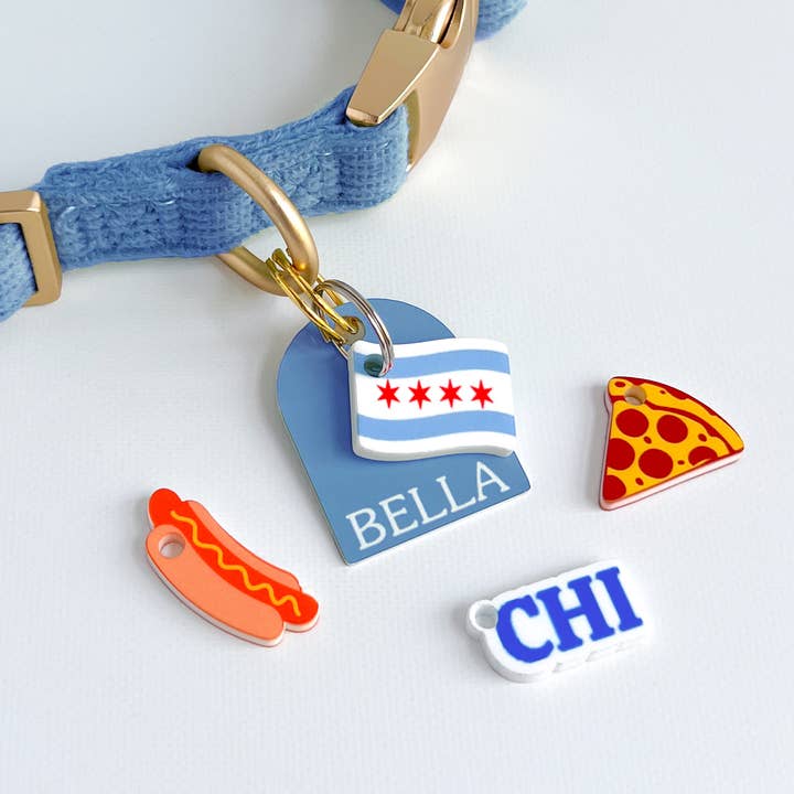 Chicago Huisdier Halsband Bedels – Stadsiconen Set voor wholesale door Silly Goose Pets